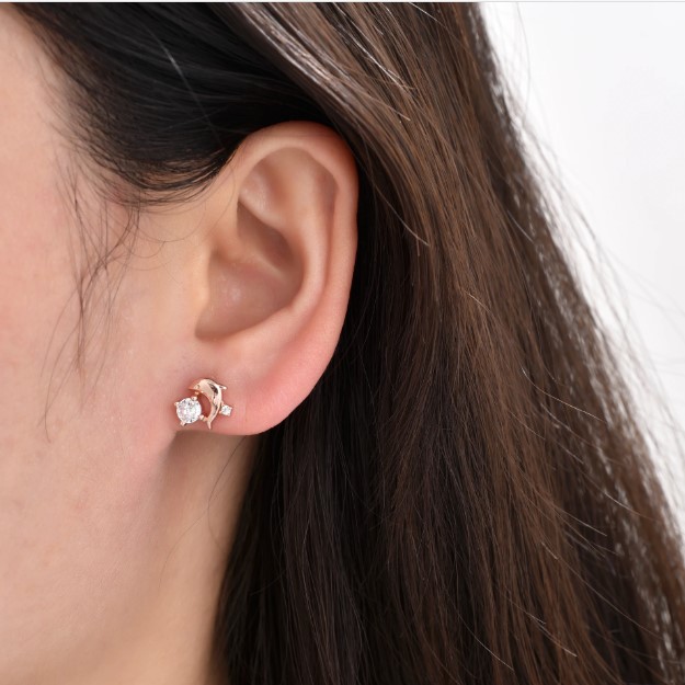 Aretes Delfín